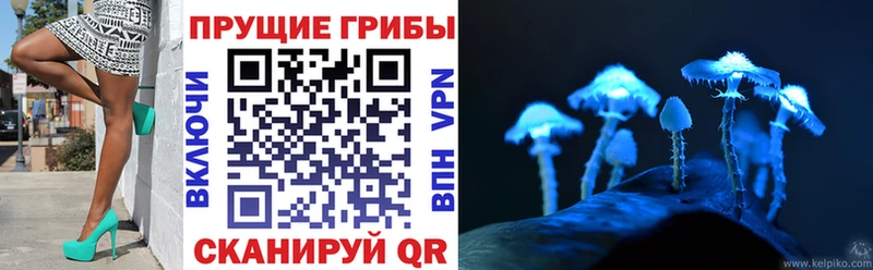 Псилоцибиновые грибы мухоморы Нефтегорск